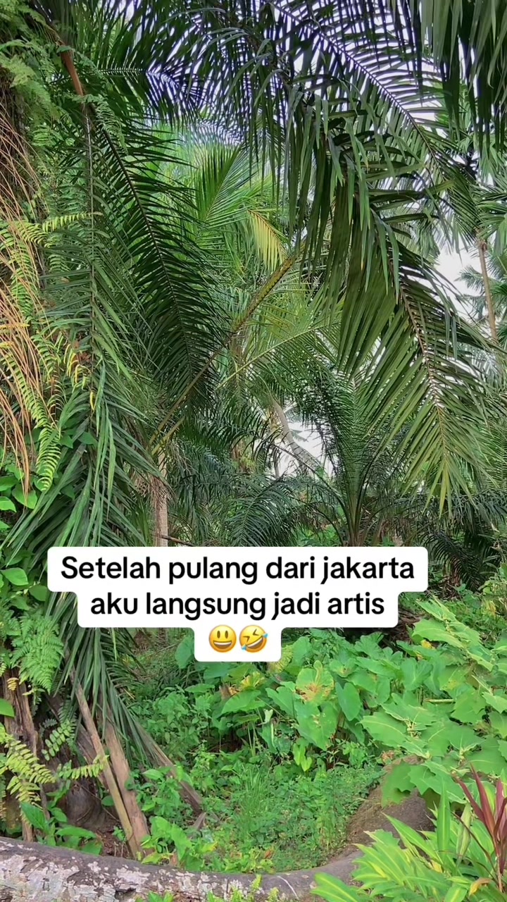 @Zani