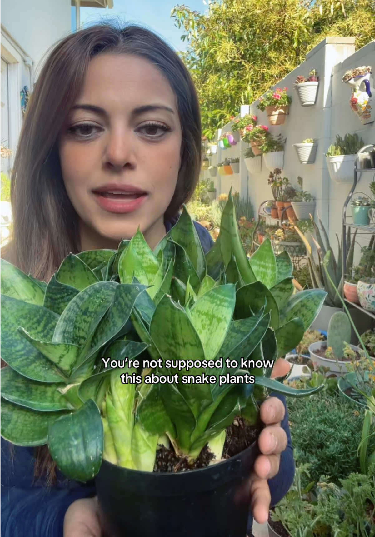 @Earth to Rana