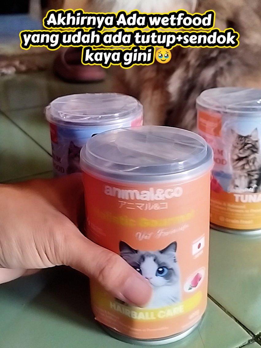 @Chiko Jelita