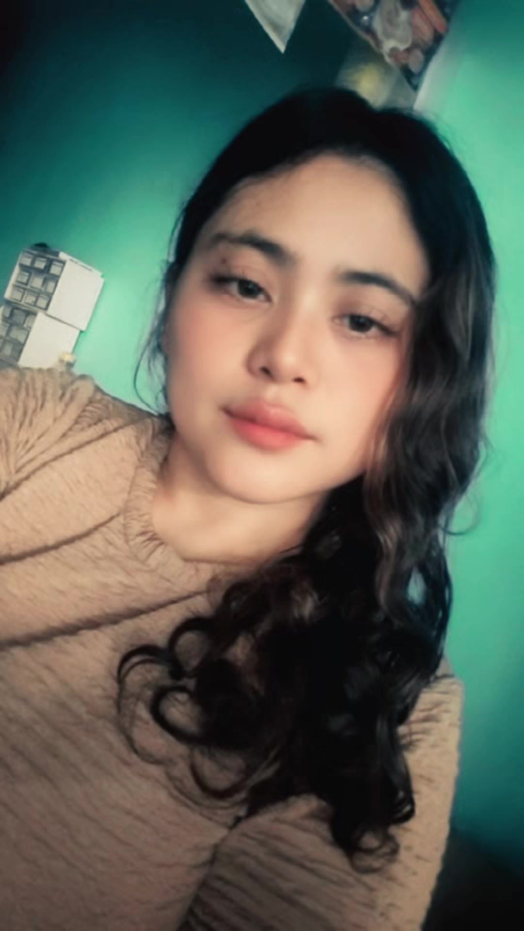 @🌸ALFEE 🍃