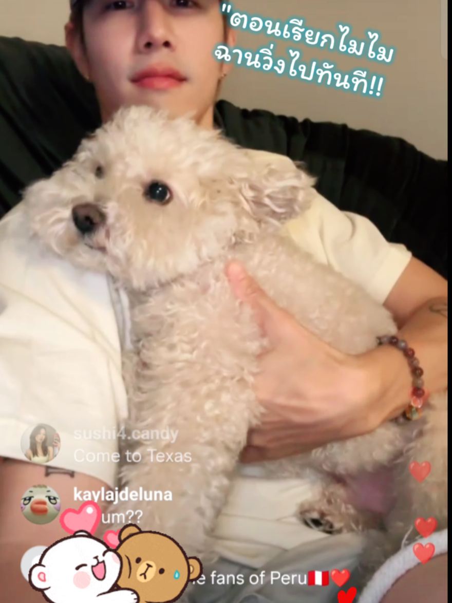 @🐰MaRkLoVe💚🕊️