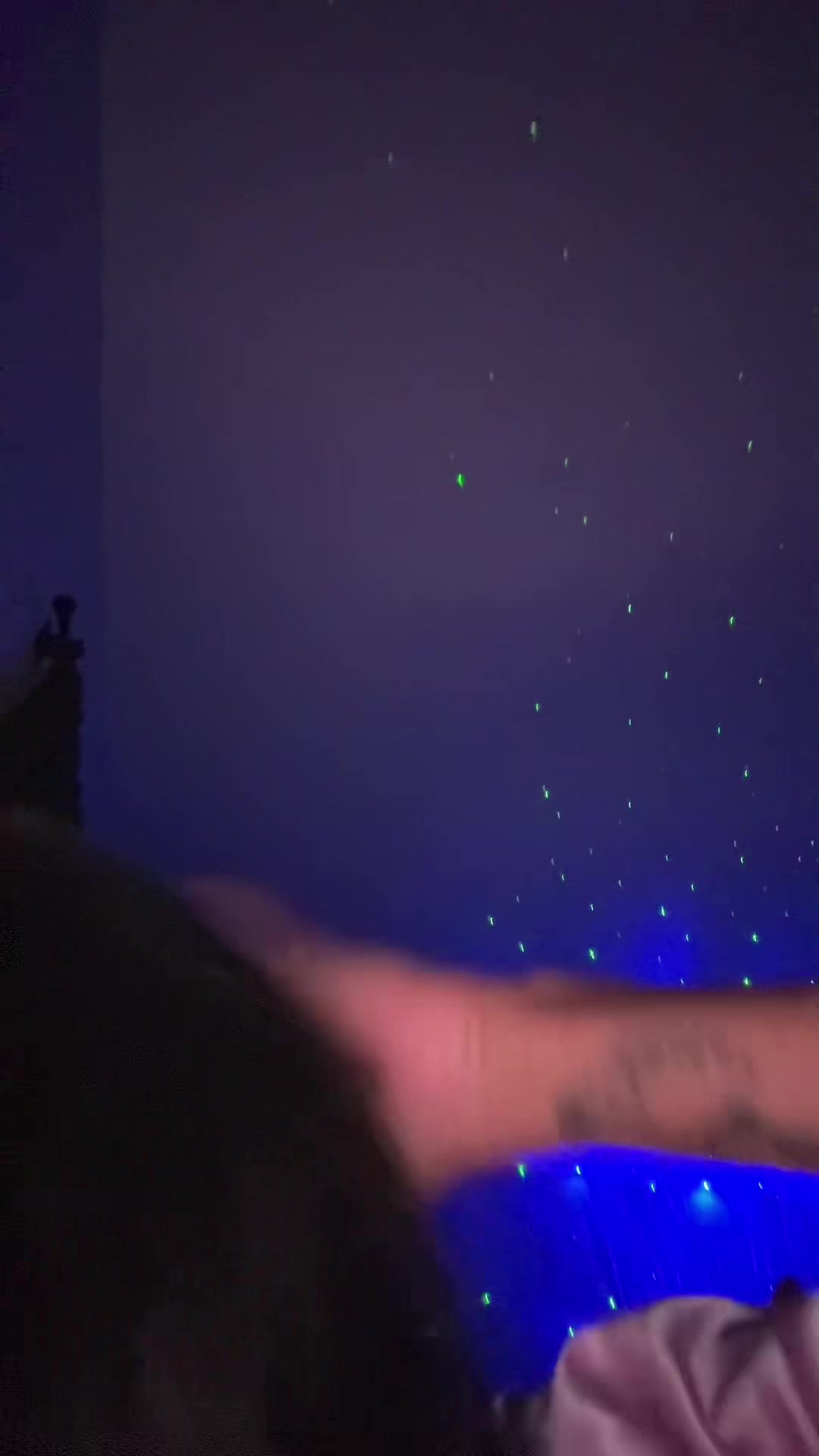 @DAECollection