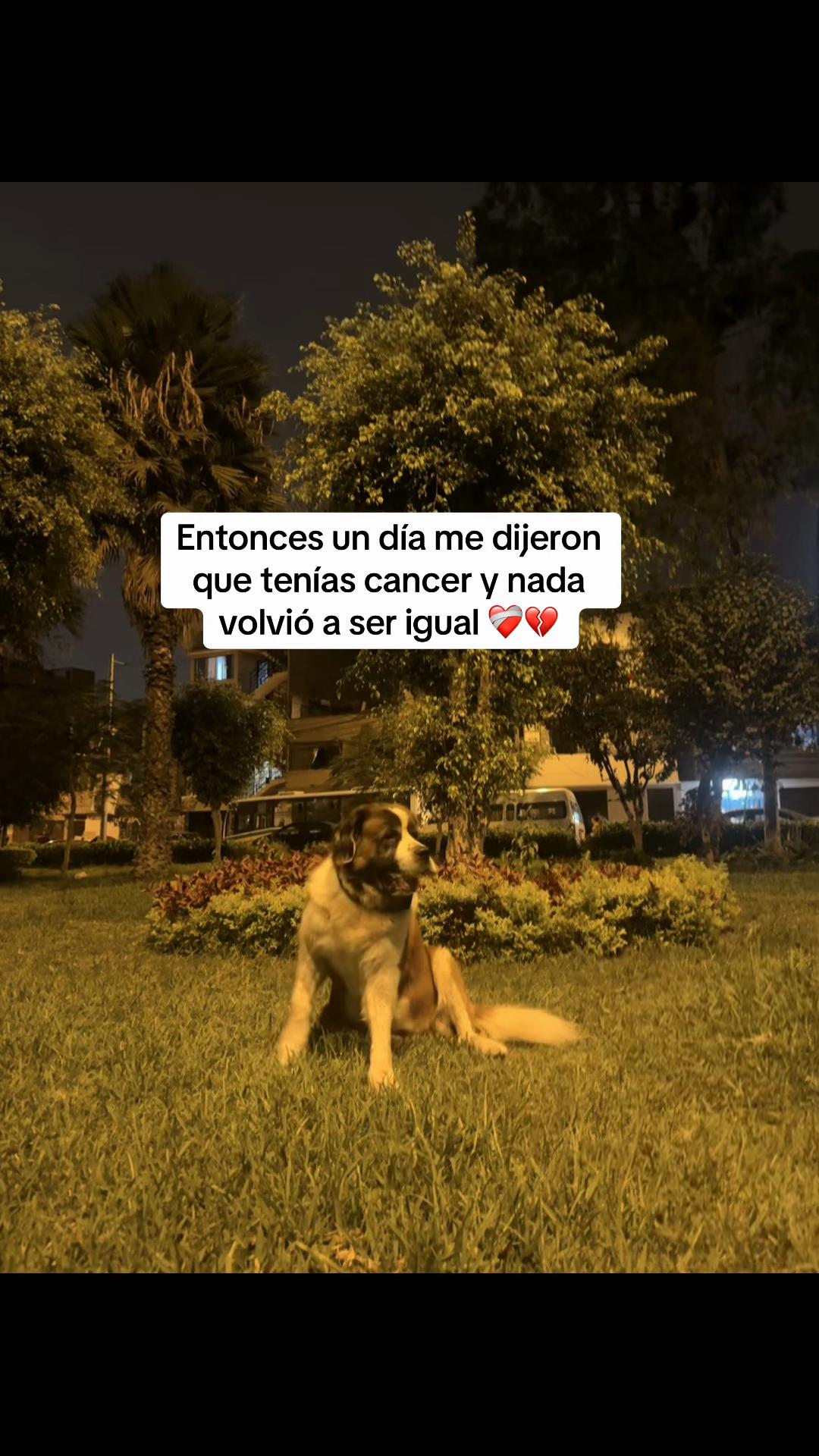 @elenxesth