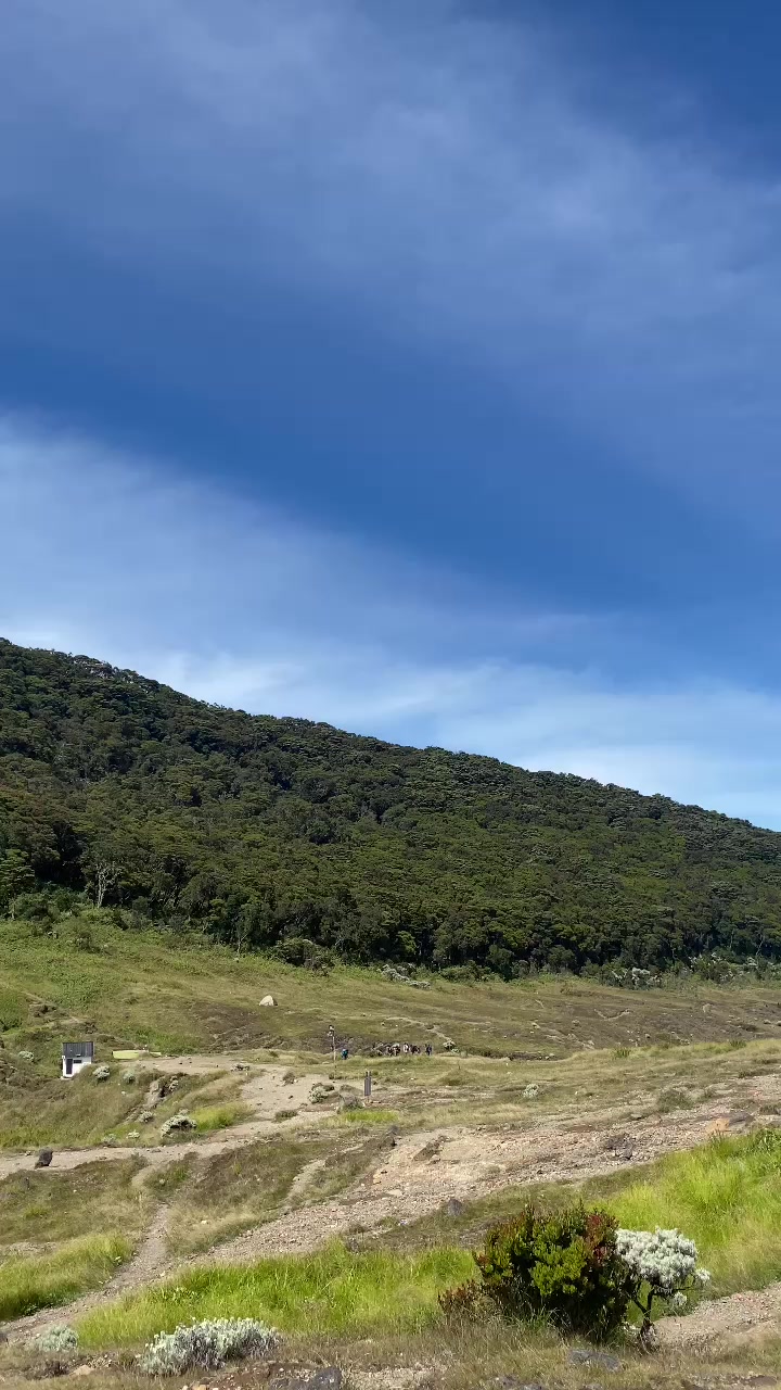 @y6nzs
