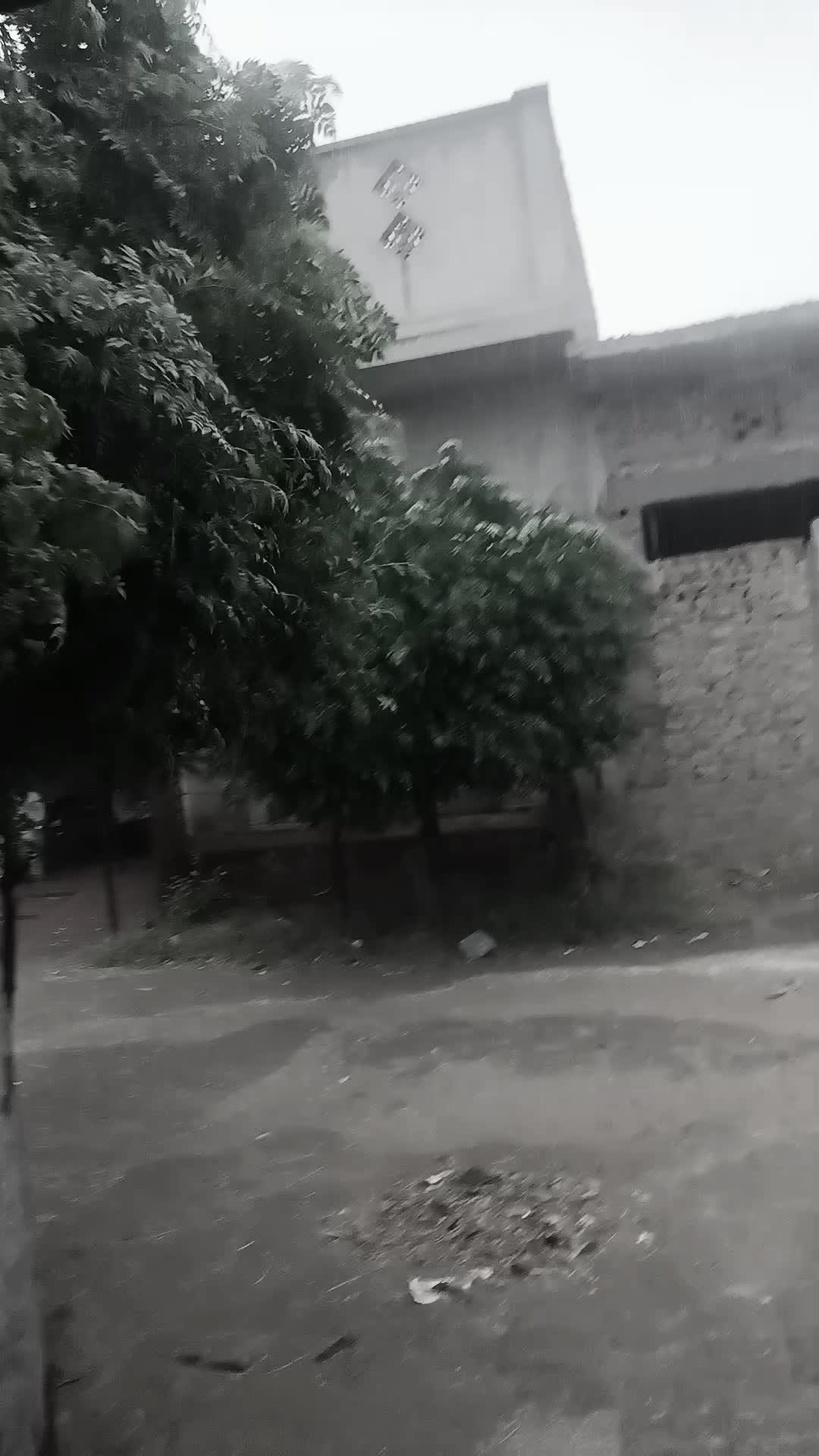 @Bilal.bj
