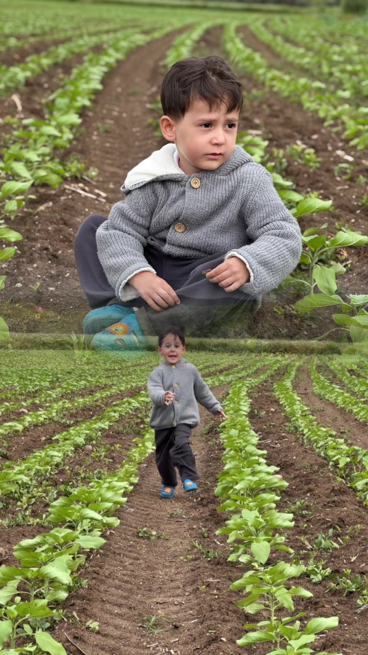 @og&uuml;n