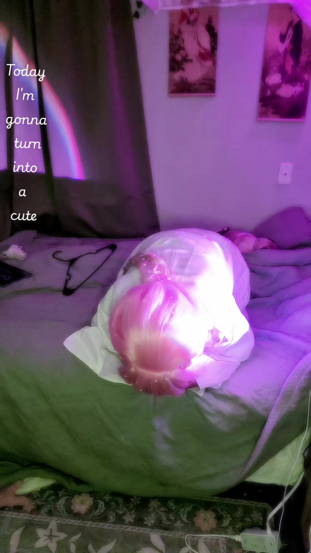 @♡๑ 𝕃𝕒𝕧𝕖𝕟𝕕𝕖𝕣 ๑♡
