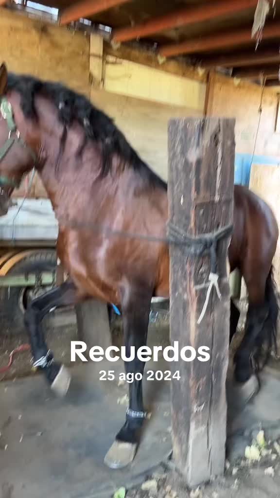 @TododeTodo