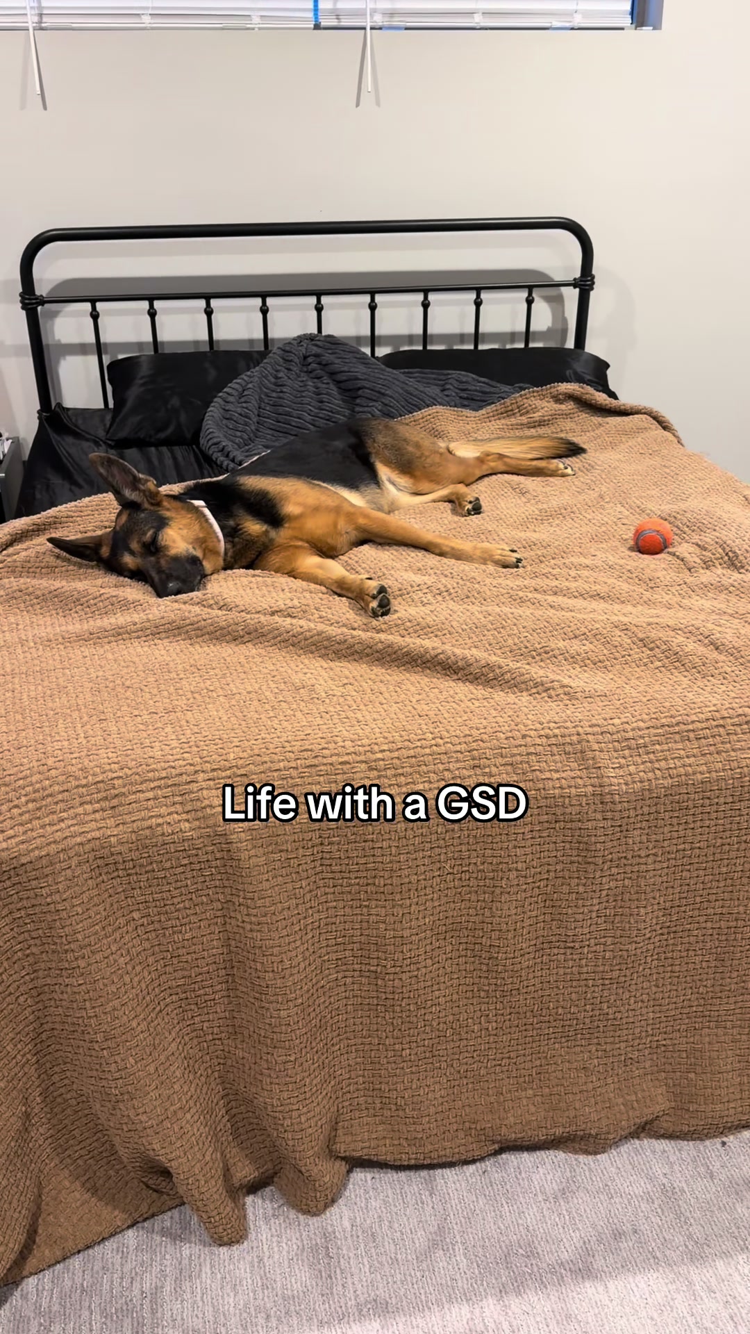 @Rory The Not-Working GSD