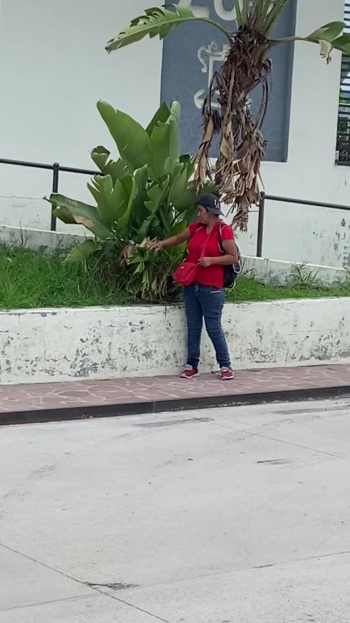 @ARTHUR EL ZINAPECUARENSE 🌎