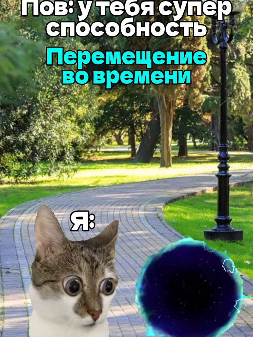 @MisterCat