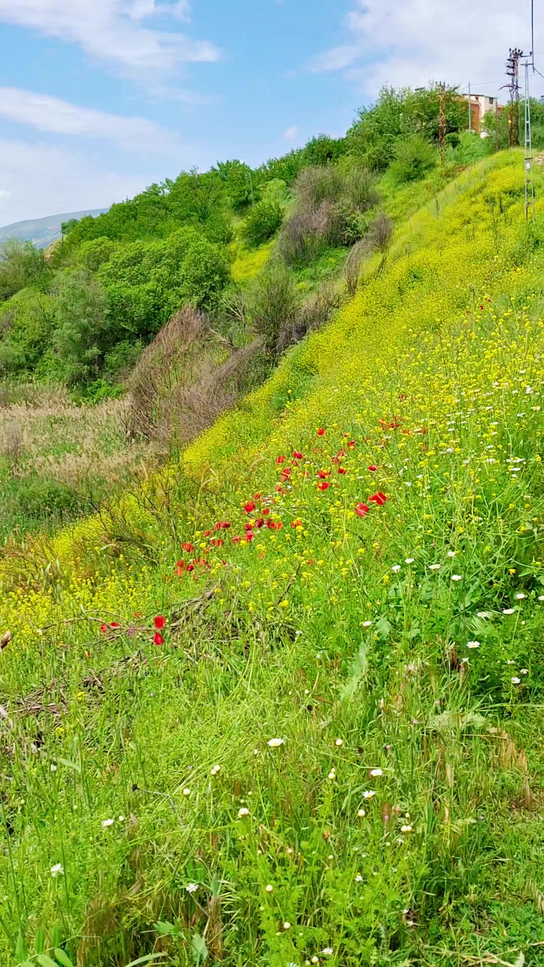 @Ebubekir adıyaman