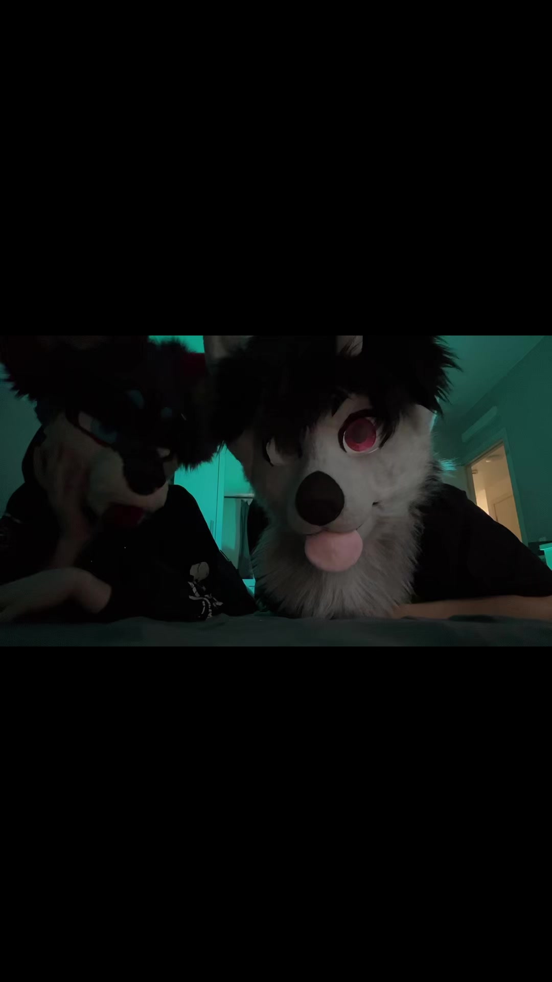 @фыркалко 🐾