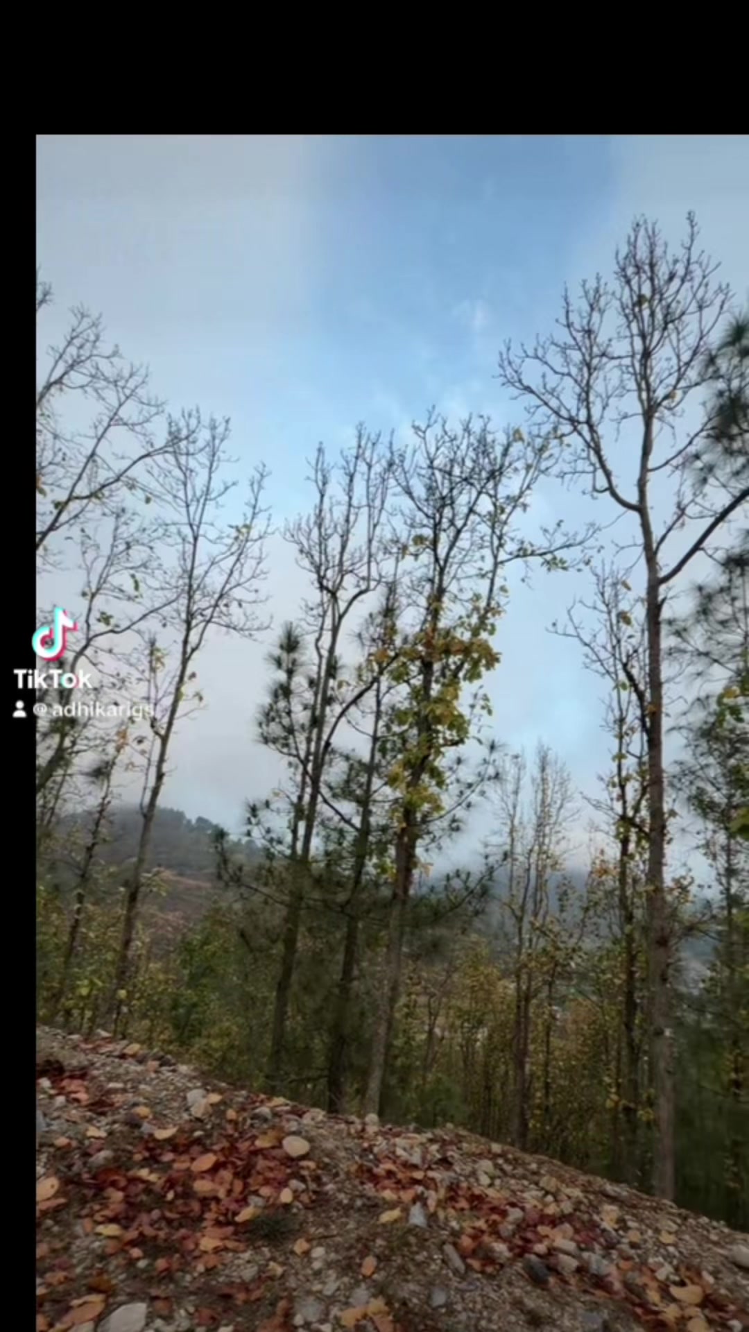 @Ghanshyam Adhikari