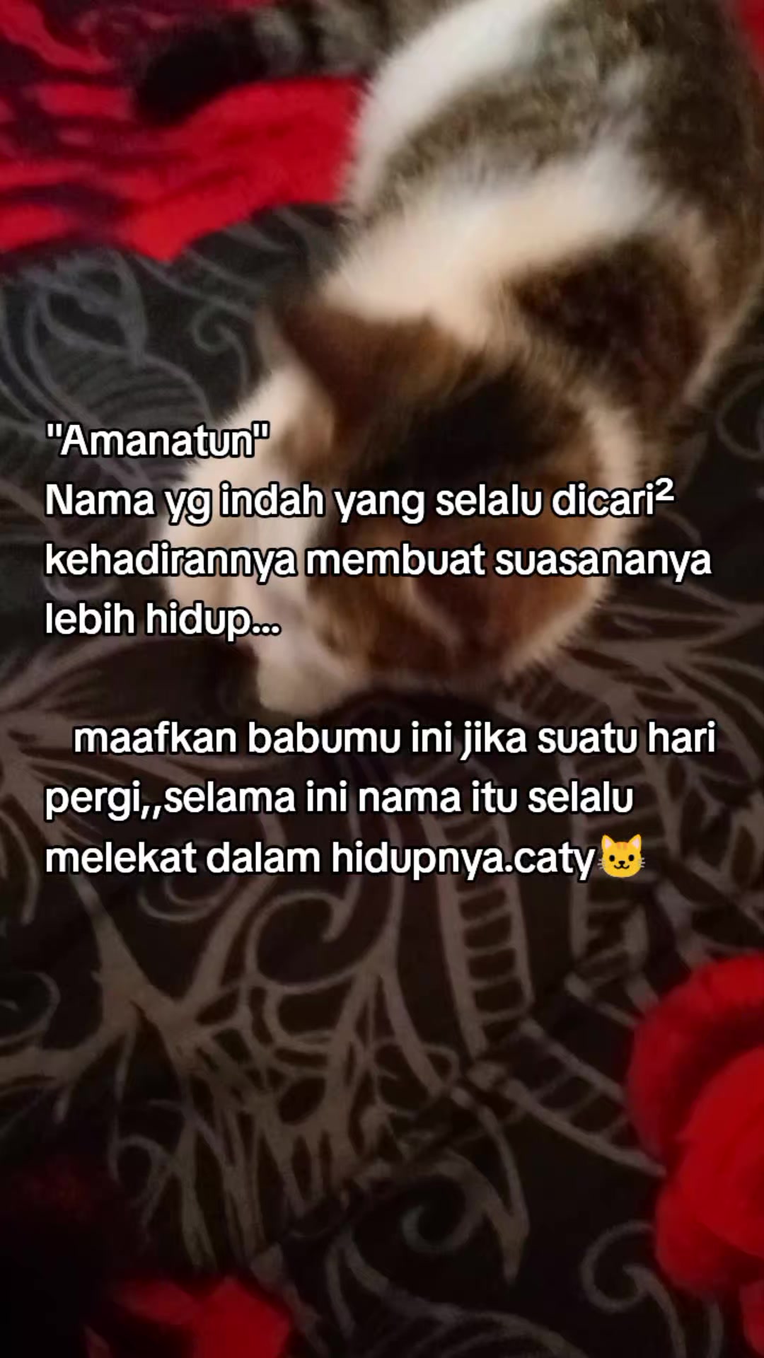 @Rizqi