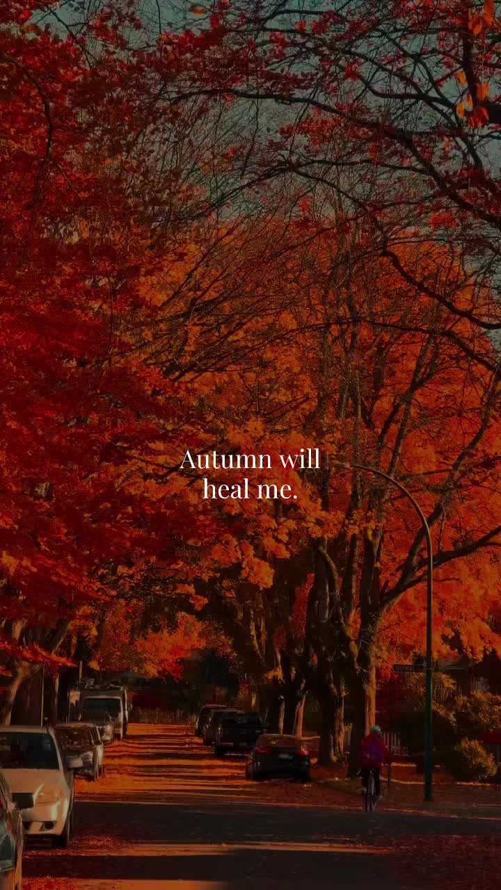 @kaitlyn🧚♀️✨
