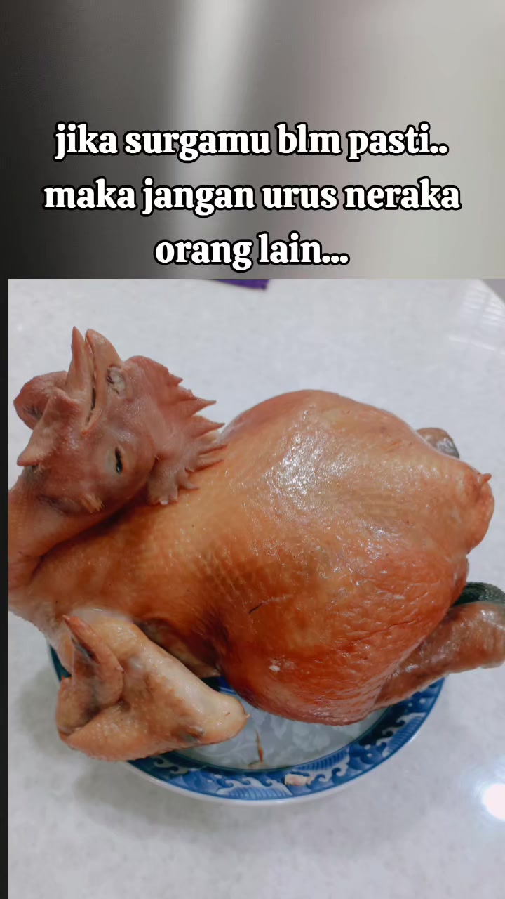 @红玫瑰memey