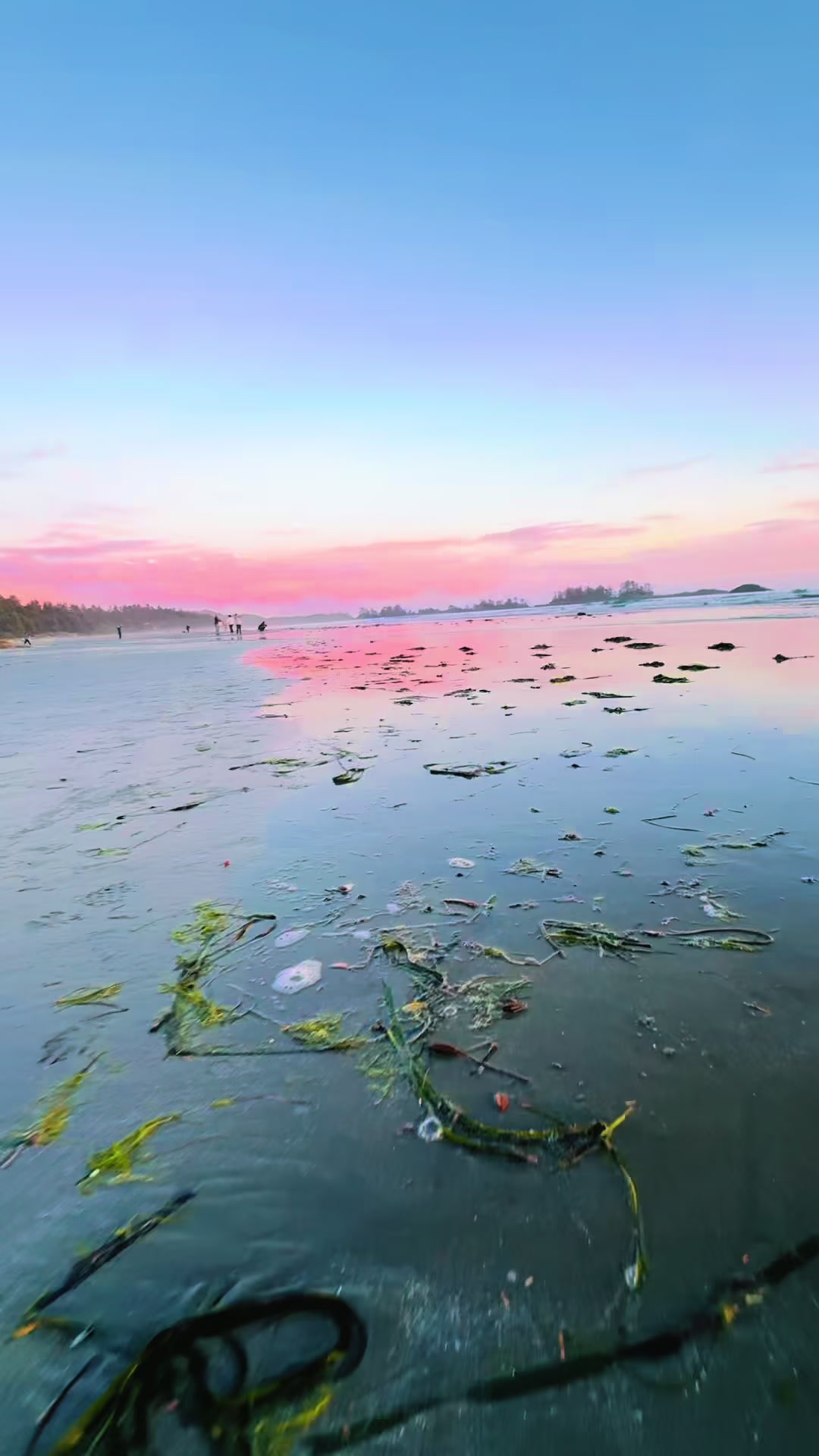 @Ocean2the.sky[.🇨🇦🏳️&zwj;🌈.]