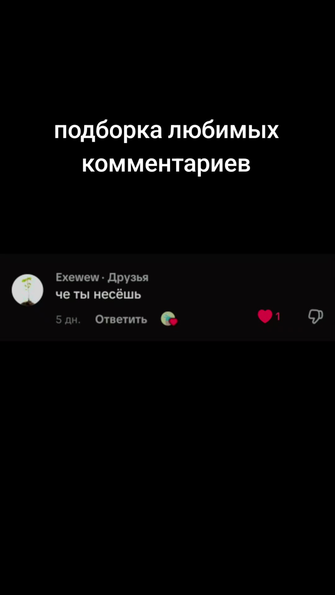 @sir kochka
