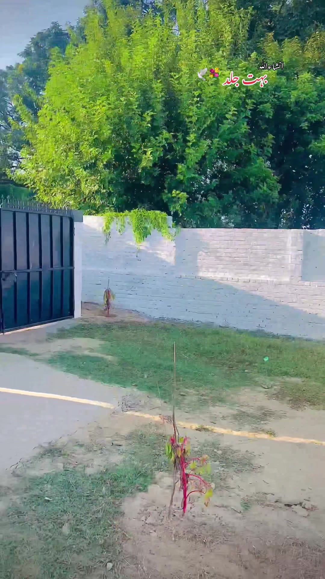 @چوھدری عمر 💫