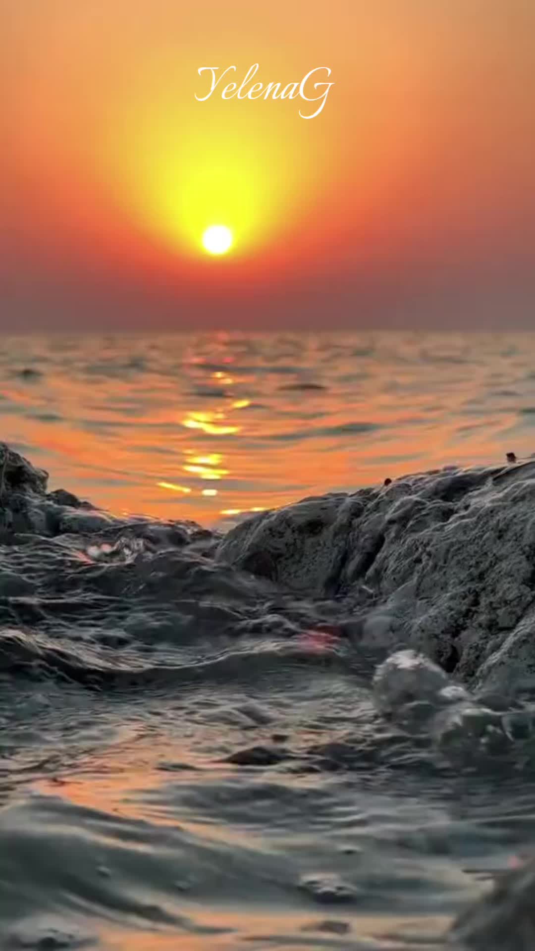 @🕊️❤️🕊️