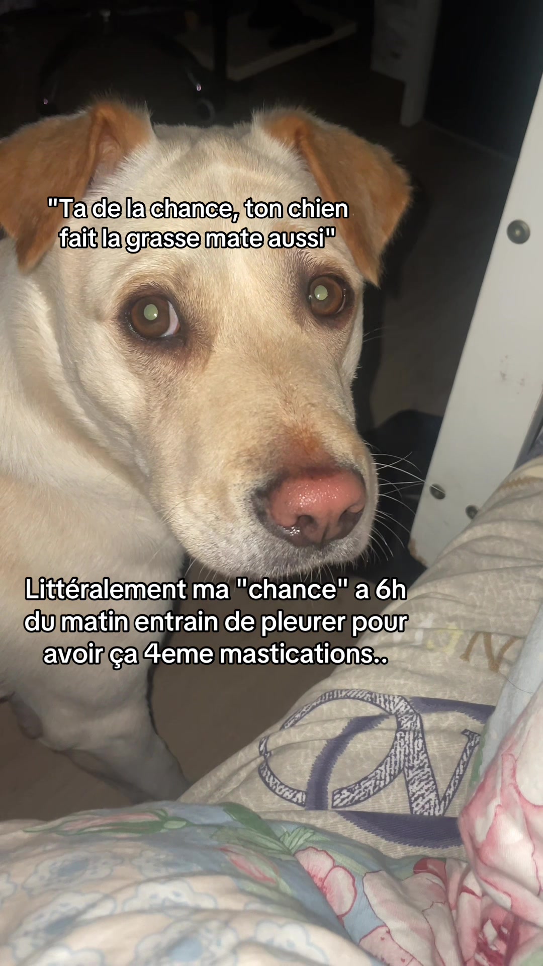 @Z'Max