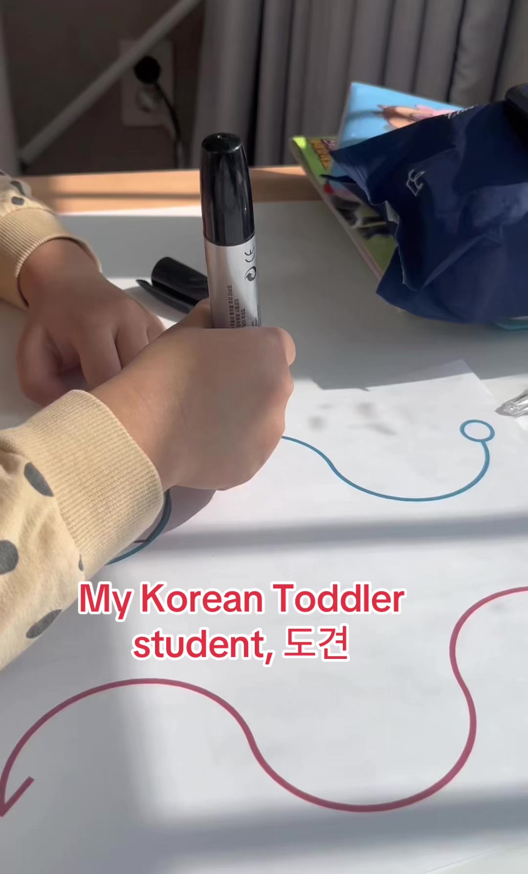 @Teacher Reese 🇰🇷
