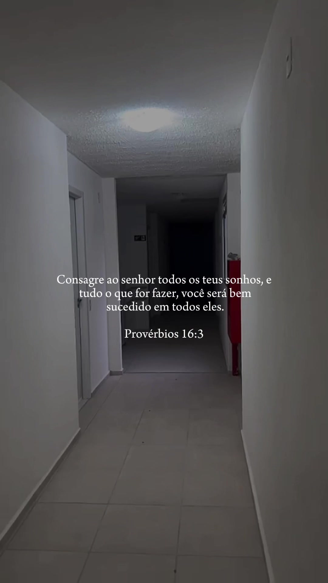 @gabirondao