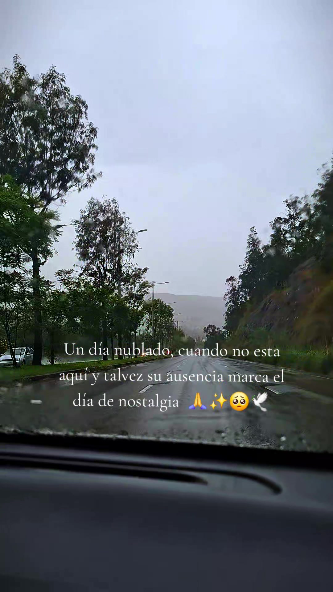@Jacky🌹