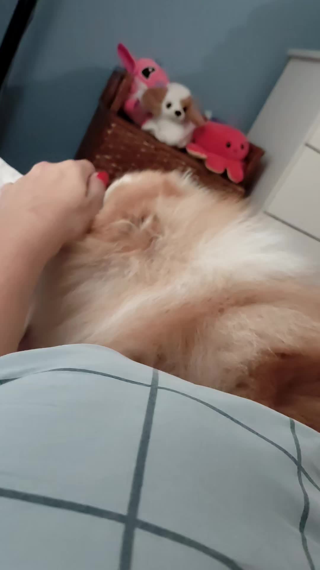 @Ju💋❤️🔥🧿📿♌🌶️🐶
