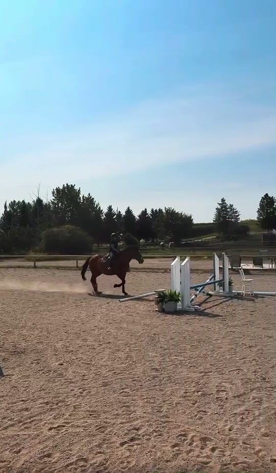 @Kaya_Equine _Molly