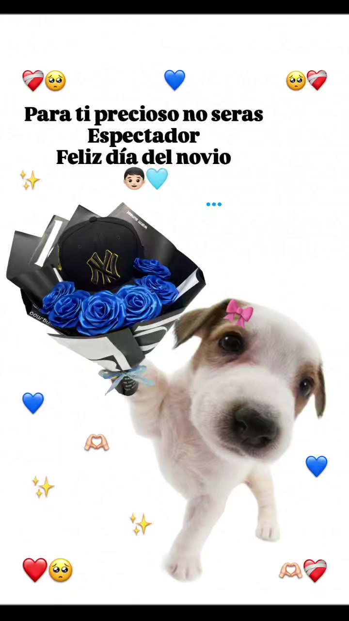 @꧁🧸✨️Tus Frases✨🧸꧂