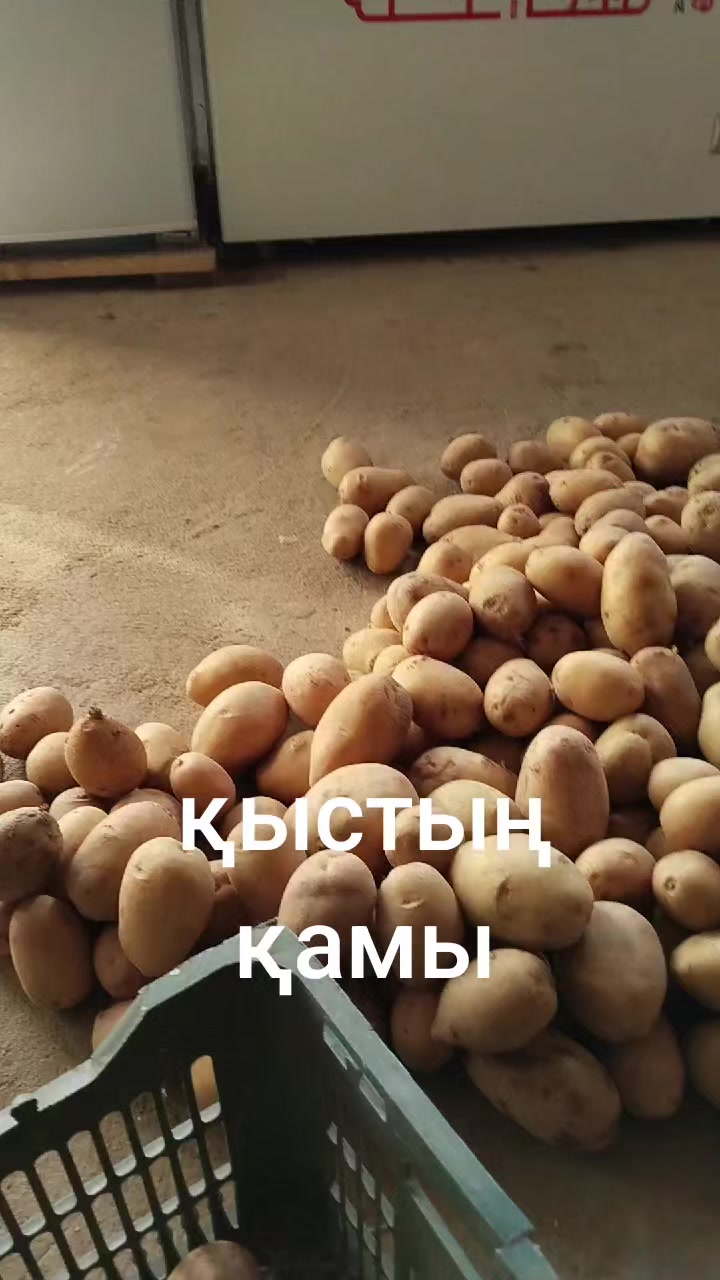 @Бекен Сиыршин 1975