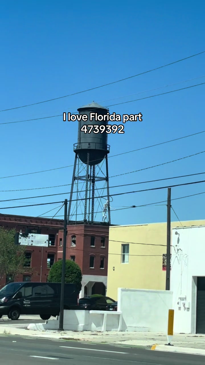 @T👑