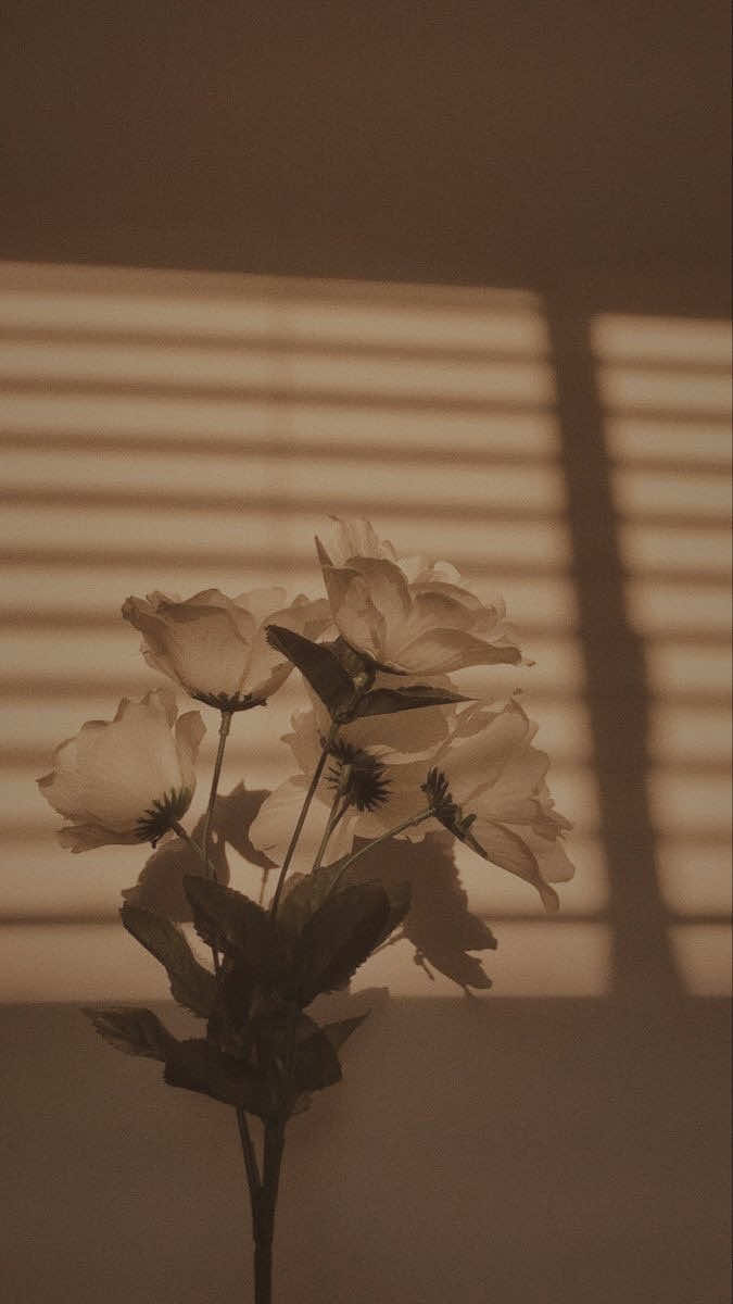 @⟡ IJE