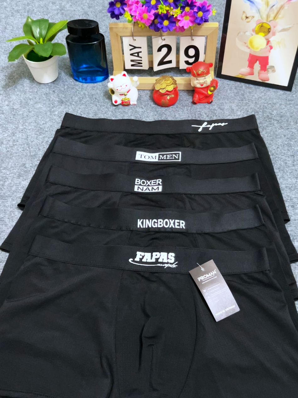 @Mr Âu Boxer