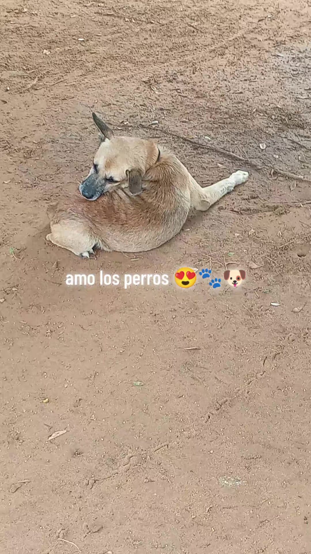 @😇Jesús luna😇
