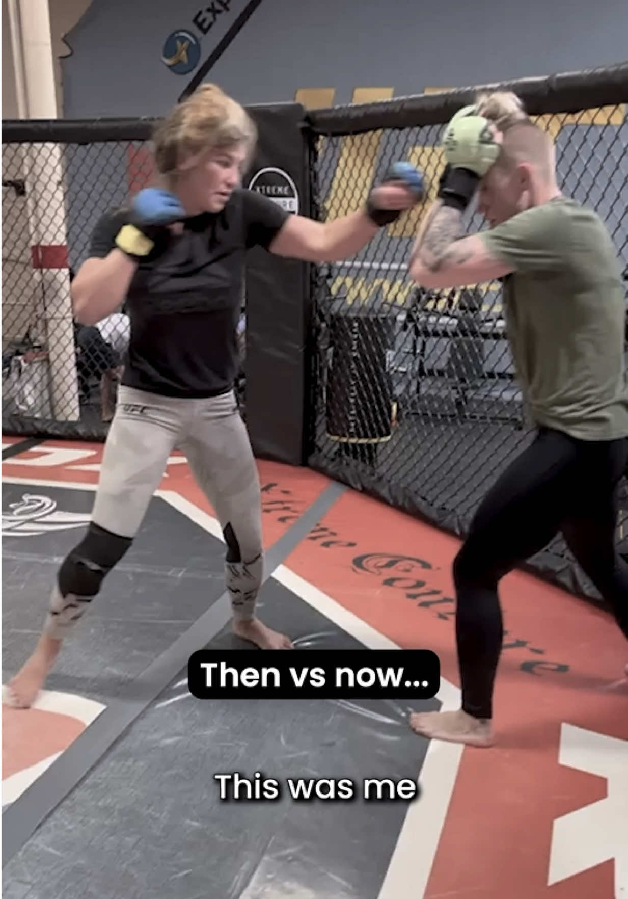 @themieshatate