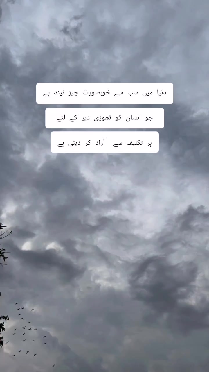 @SMF_Writer