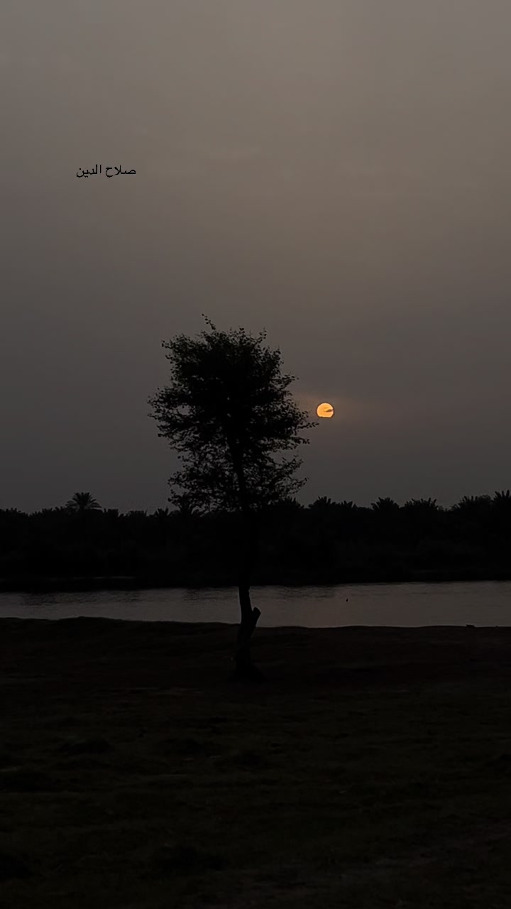 @گمنام ✍️