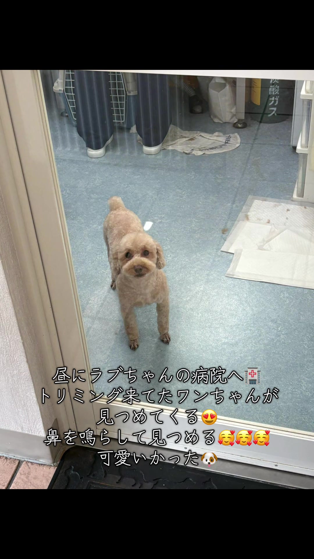 @ðžåã®ã«ãªã¹ãæ¡äžžðž