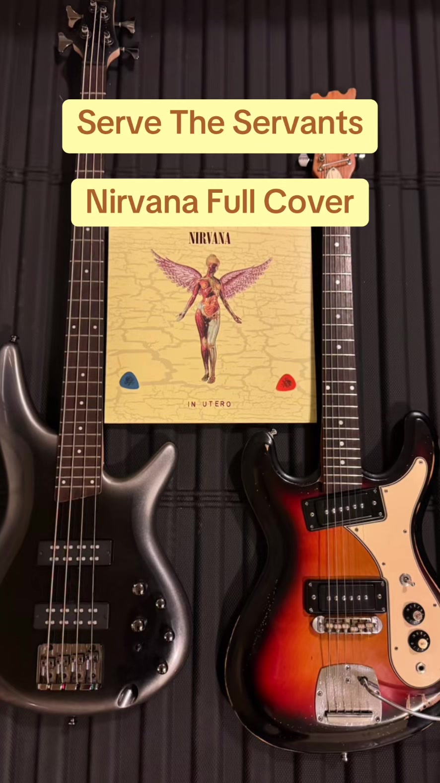 @twin_reverb_