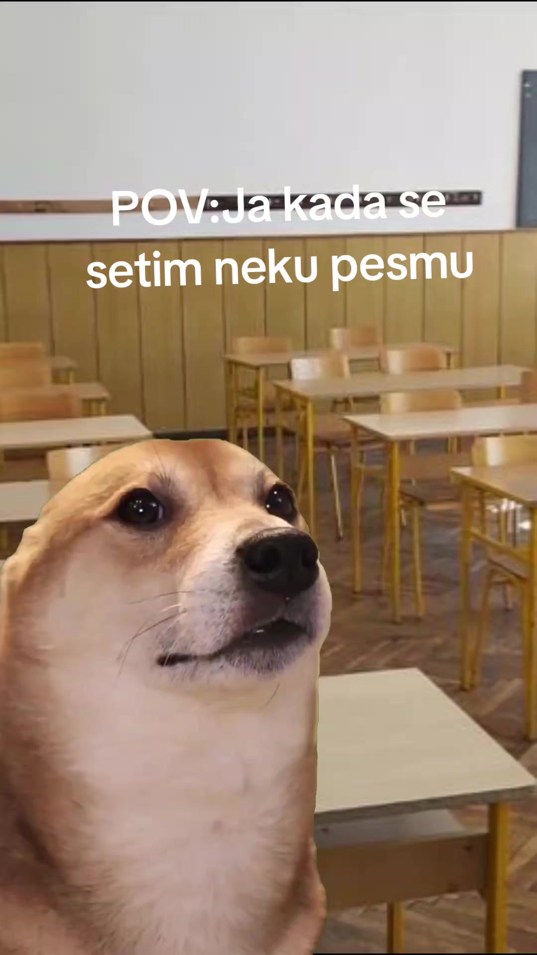 @Luka J.