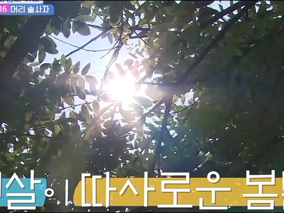 @sunshine🐝