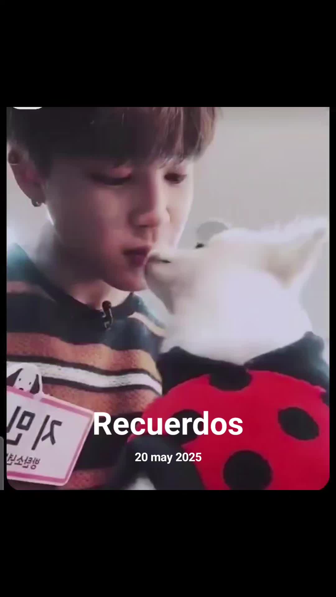 @Toxica🐣🐻🇨🇺