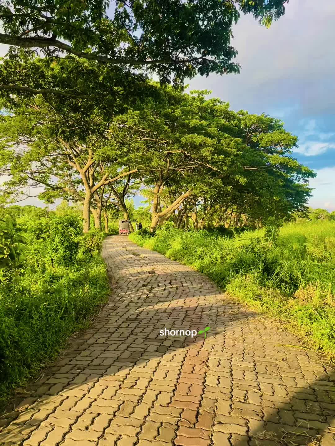 @🕊️♡Տԩόɹ𝖓ό𝒑🌱🧢