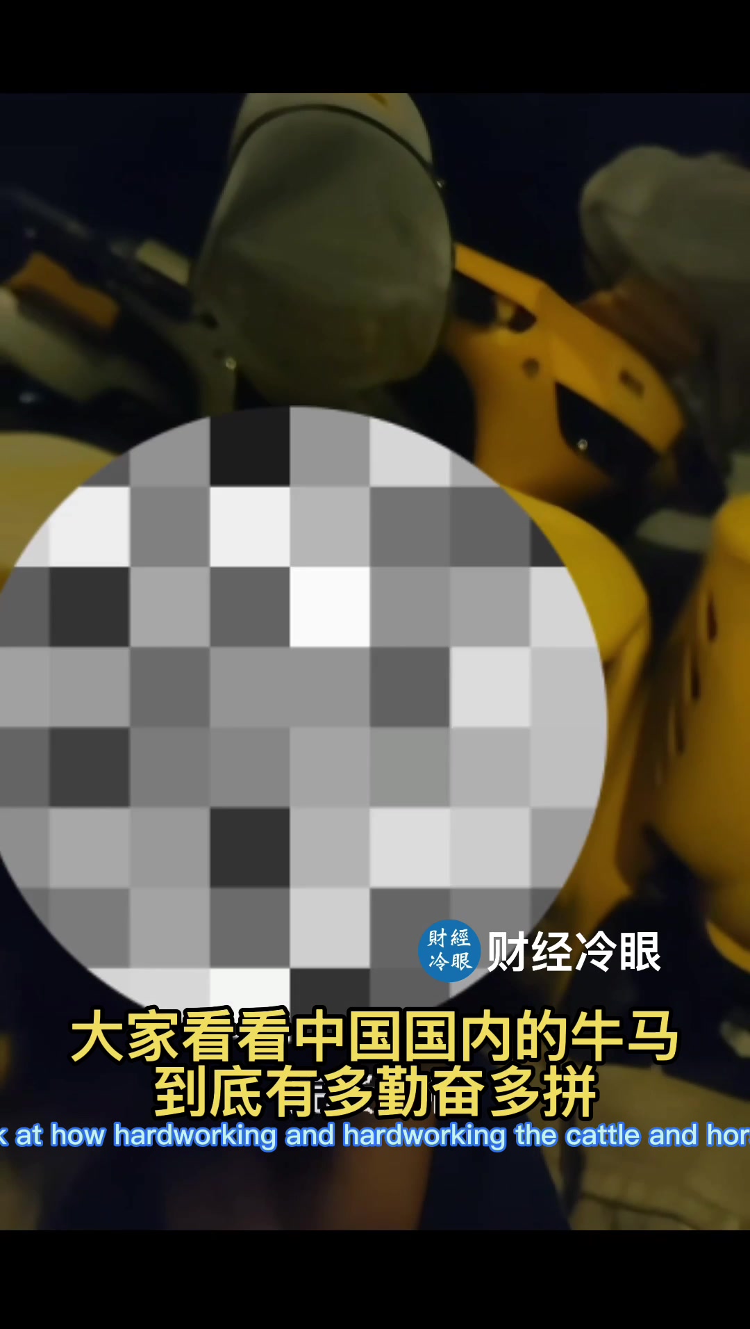 @caijinglengyan