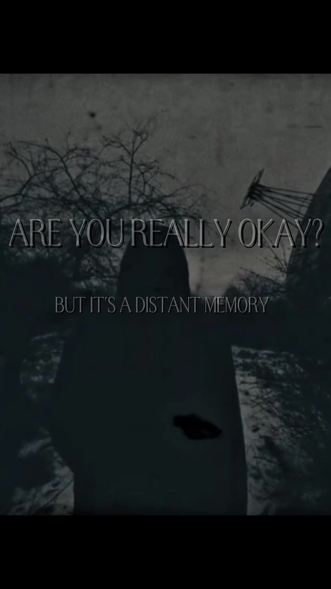 @✩A𝖘𝖍𝖑𝖊𝖊✩