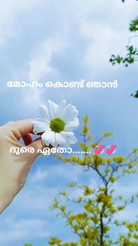 @monuttan