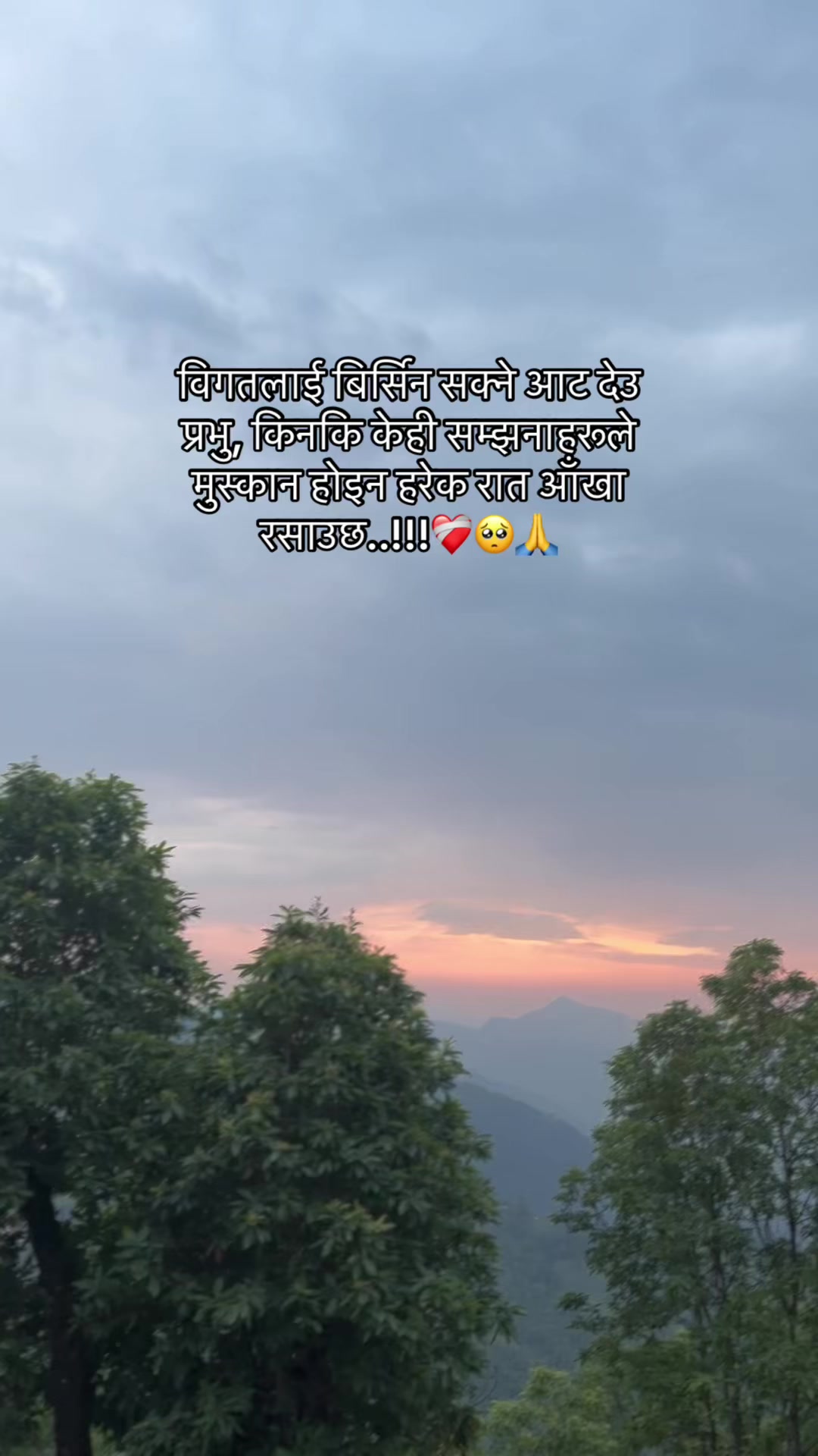 @☮️🕊️